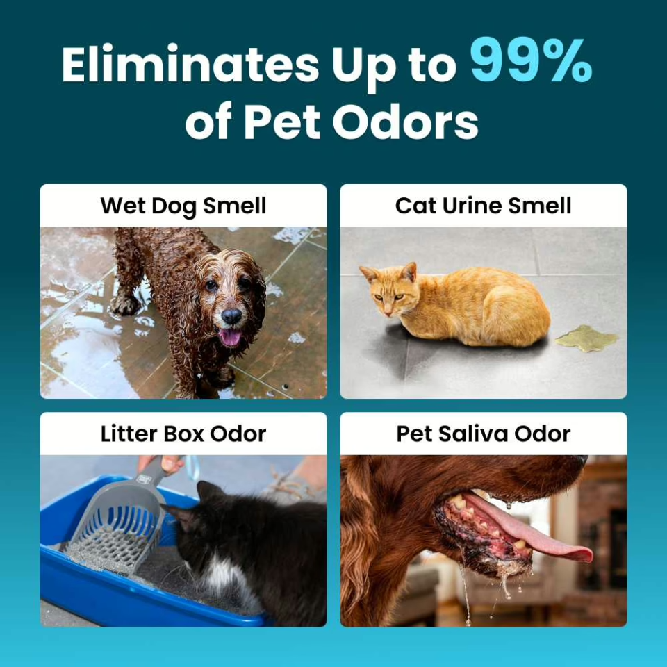 OzoFreshen Pet Odor Air Purifier 4